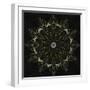 Fractal Mandala 7-Delyth Angharad-Framed Giclee Print