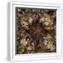 White Frame