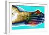 Fractured Foot-Du Cane Medical-Framed Photographic Print