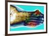 Fractured Foot-Du Cane Medical-Framed Photographic Print