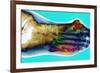 Fractured Foot-Du Cane Medical-Framed Photographic Print