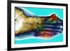 Fractured Foot-Du Cane Medical-Framed Photographic Print