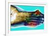 Fractured Foot-Du Cane Medical-Framed Photographic Print