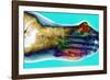 Fractured Foot-Du Cane Medical-Framed Photographic Print