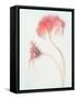 Fragile Beauty-Gilbert Claes-Framed Stretched Canvas