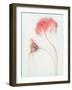 Fragile Beauty-Gilbert Claes-Framed Photographic Print