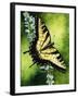 Fragile Beauty-Barbara Keith-Framed Giclee Print