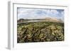 Fragile Corals Grow in Shallow Water in Komodo National Park-Stocktrek Images-Framed Photographic Print