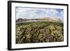 Fragile Corals Grow in Shallow Water in Komodo National Park-Stocktrek Images-Framed Photographic Print