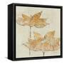 Fragile I-Avery Tillmon-Framed Stretched Canvas