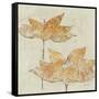 Fragile I-Avery Tillmon-Framed Stretched Canvas
