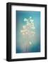 Fragile Installation-Philippe Sainte-Laudy-Framed Photographic Print