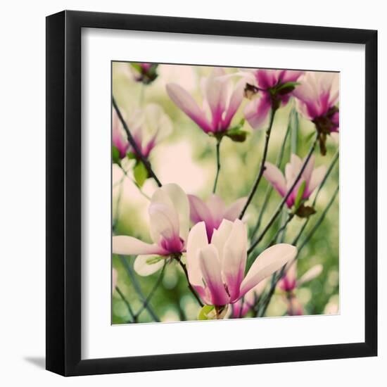 Fragile Pink Daisies-Gail Peck-Framed Art Print