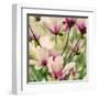 Fragile Pink Daisies-Gail Peck-Framed Art Print