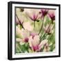 Fragile Pink Daisies-Gail Peck-Framed Art Print