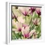 Fragile Pink Daisies-Gail Peck-Framed Art Print