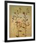 Fragile Spring II-Pia Goodman-Framed Art Print