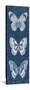 Fragile Wings Butterfly Panel-Danhui Nai-Stretched Canvas