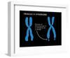 Fragile X Syndrome-Monica Schroeder-Framed Giclee Print