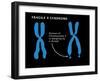 Fragile X Syndrome-Monica Schroeder-Framed Giclee Print