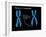 Fragile X Syndrome-Monica Schroeder-Framed Giclee Print