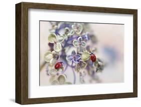 Fragile-Ellen van Deelen-Framed Photographic Print