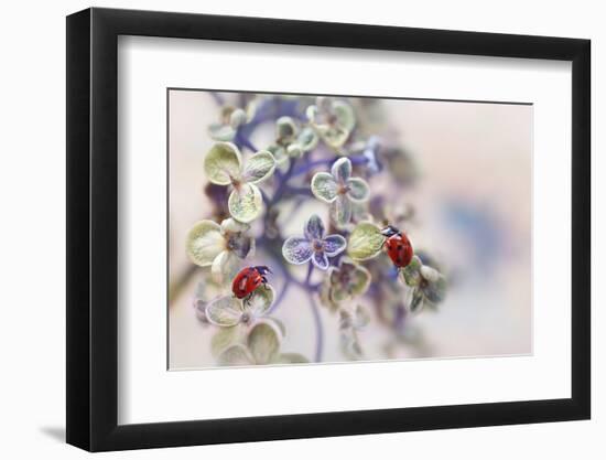 Fragile-Ellen van Deelen-Framed Photographic Print