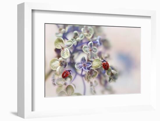 Fragile-Ellen van Deelen-Framed Photographic Print