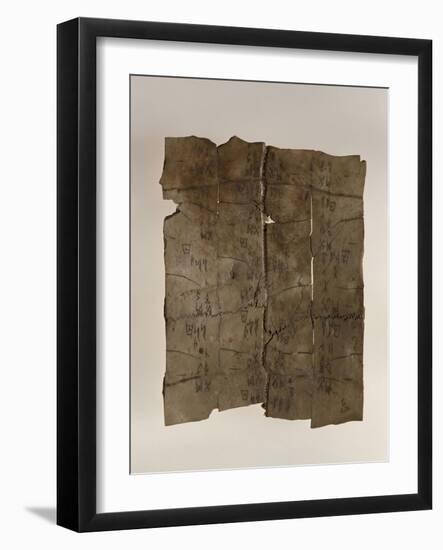 Fragment de carapace de tortue ayant servi à la divination (os oraculaire)-null-Framed Giclee Print