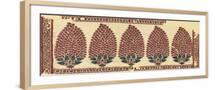Brown Frame