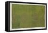 Fragment de soierie-null-Framed Stretched Canvas