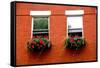 Fragment of a Red Brick House in Boston Historical North End with Wrought Iron Flower Boxes-elenathewise-Framed Stretched Canvas