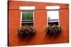 Fragment of a Red Brick House in Boston Historical North End with Wrought Iron Flower Boxes-elenathewise-Stretched Canvas