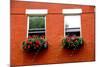 Fragment of a Red Brick House in Boston Historical North End with Wrought Iron Flower Boxes-elenathewise-Mounted Photographic Print