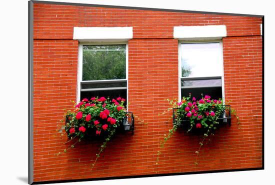Fragment of a Red Brick House in Boston Historical North End with Wrought Iron Flower Boxes-elenathewise-Mounted Photographic Print