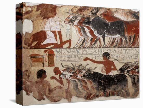 Fragment of a Tomb Painting Dating from Around 1400 BC from Thebes, Egypt, North Africa, Africa-Adam Woolfitt-Stretched Canvas