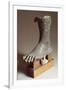 Fragment of Large Bronze Statue, Detail of the Feet-null-Framed Giclee Print