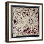 Fragment of Needle Lace with Female Figure, 16th Century-null-Framed Giclee Print