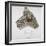 Fragment of Roman Pottery Found in Walbrook, City of London, 1820-null-Framed Giclee Print