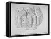 Fragment of Roman Sculpture Found in Hart Street, Crutched Friars, City of London, 1847-Charles Baily-Framed Stretched Canvas