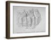 Fragment of Roman Sculpture Found in Hart Street, Crutched Friars, City of London, 1847-Charles Baily-Framed Giclee Print