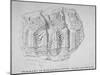 Fragment of Roman Sculpture Found in Hart Street, Crutched Friars, City of London, 1847-Charles Baily-Mounted Giclee Print