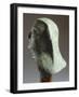 Fragment of the Face of a Large Bronze Statue, Side View-null-Framed Giclee Print
