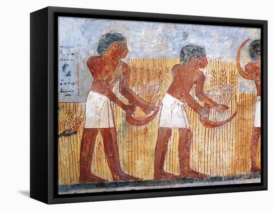 Fragment of Wall Painting Depicting Harvesting Scene, from the Tomb of Unsu at West Thebes, Detail-null-Framed Stretched Canvas