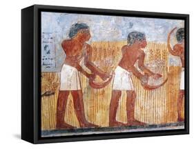 Fragment of Wall Painting Depicting Harvesting Scene, from the Tomb of Unsu at West Thebes, Detail-null-Framed Stretched Canvas