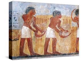 Fragment of Wall Painting Depicting Harvesting Scene, from the Tomb of Unsu at West Thebes, Detail-null-Stretched Canvas
