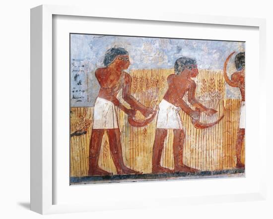 Fragment of Wall Painting Depicting Harvesting Scene, from the Tomb of Unsu at West Thebes, Detail-null-Framed Giclee Print