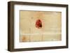 Fragment-Desislava Ignatova-Framed Photographic Print