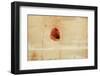 Fragment-Desislava Ignatova-Framed Photographic Print