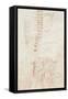 Fragmentary Copy, 1710-15-Giuseppe Maria Crespi-Framed Stretched Canvas
